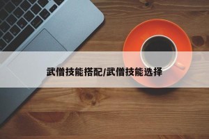 武僧技能搭配/武僧技能选择