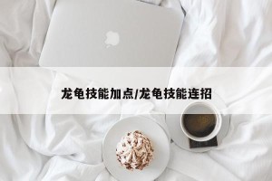 龙龟技能加点/龙龟技能连招