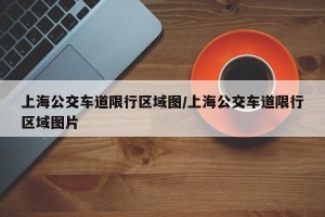 上海公交车道限行区域图/上海公交车道限行区域图片