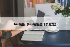 bis装备（bis装备是什么意思）