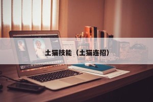 土猫技能（土猫连招）