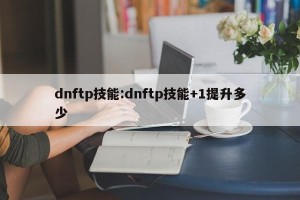 dnftp技能:dnftp技能+1提升多少