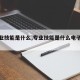 【专业技能是什么,专业技能是什么电子电器】